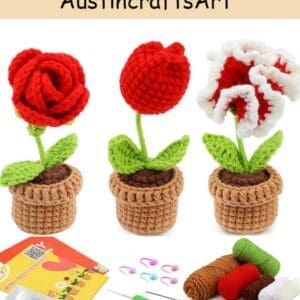 Red Flowers Potted Crochet Kit