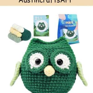 Cute Green Owl Crochet Kit