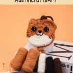 Cute Cat Bag Crochet Kit