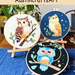 Cute Owl Bird Embroidery Kit