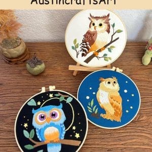 Cute Owl Bird Embroidery Kit