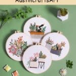 Succulent Plants Potted Embroidery Kit